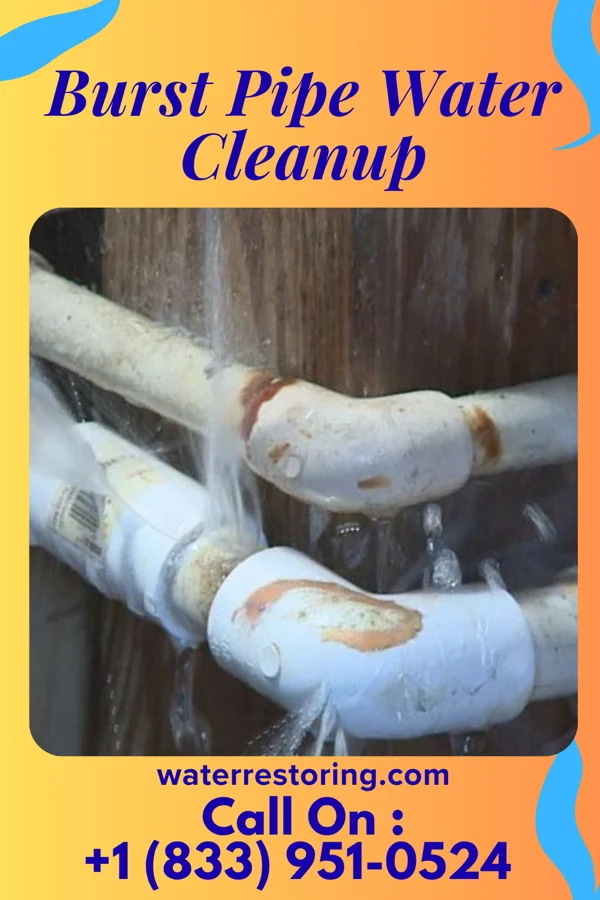 Burst Pipe Water Cleanup in Lisbon, LA