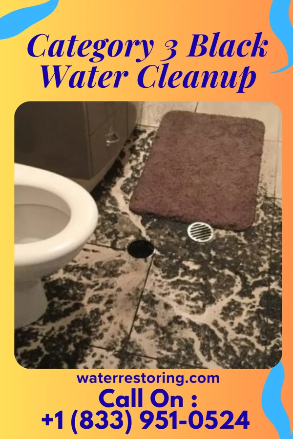 Category 3 Black Water Cleanup in Lisbon, LA