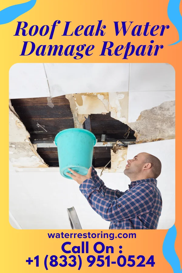 Roof Leak Water Damage Repair in Lisbon, LA